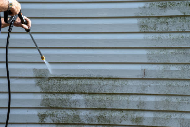 Best Property Management Cleanouts  in Carlisle, PA